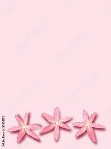 Three pink freehand sketch drawing flowers on pink illustration background © ma3d.it