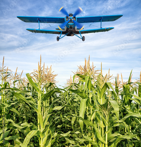 Canvas Print airplane over a maize filed