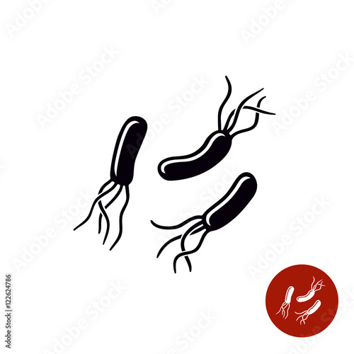 Helicobacter pylori bacteria black simple icon photo