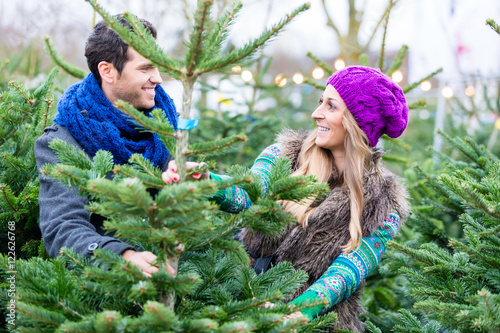 Frau und Mann kaufen Weihnachtsbaum auf Markt photo