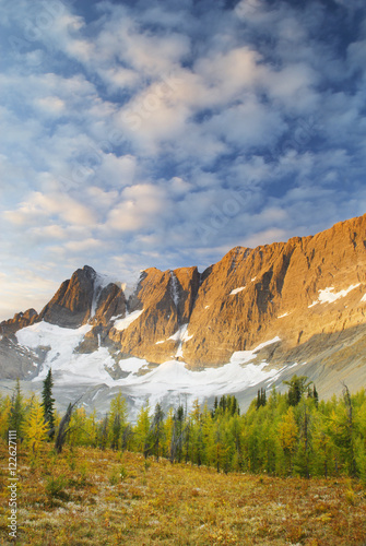 Alpine larches and mountains, British Columbia, Canada