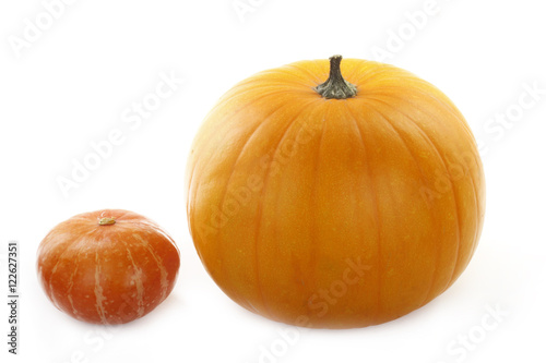 pumpkins isolated