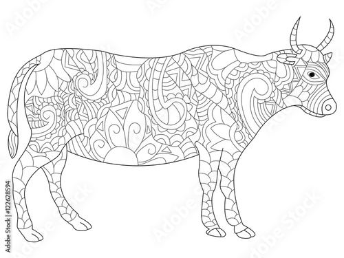 Cow coloring vector for adults