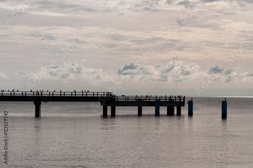 Ostseeküste. RügenBaltische Einsamkeit