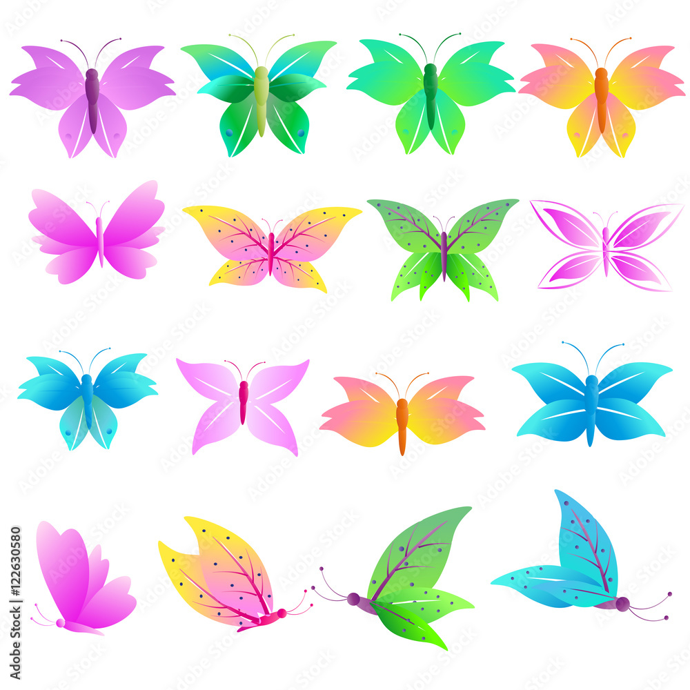 Obraz premium butterfly