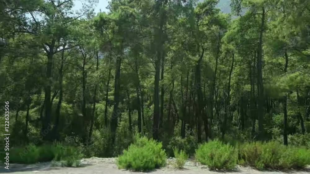 forests and mountains of the Mediterranean forests and mountains of the Mediterranean