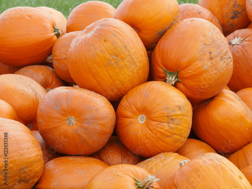 Orange Helloween pumpkins outdoors