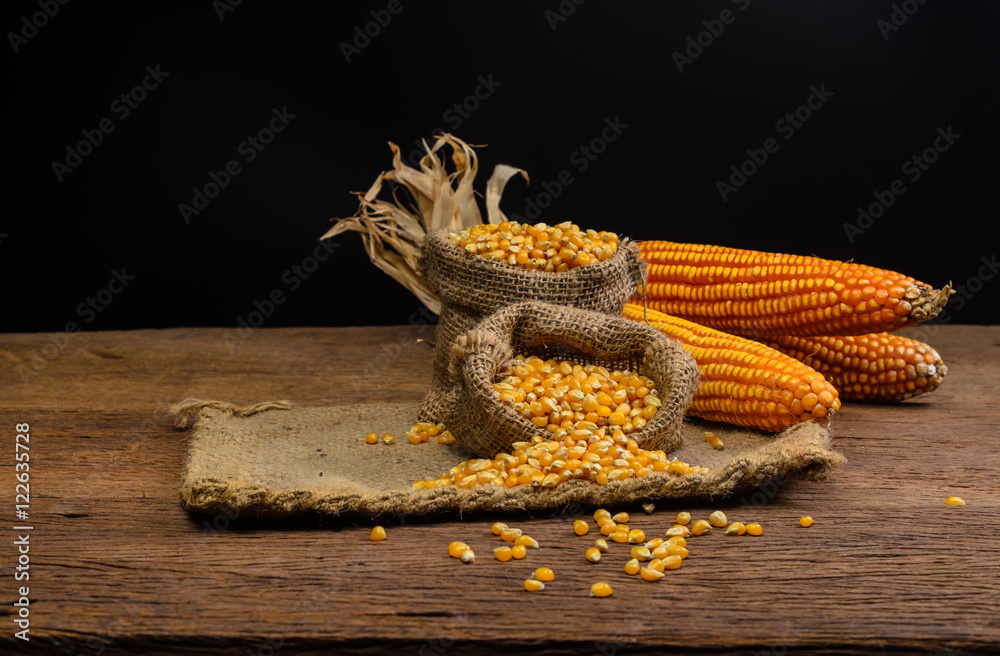 Obraz premium Dried corn in sackbag on wooden table