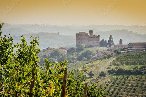 Panoramic view of the Langhe vineyards with Grinzane Cavour Castle