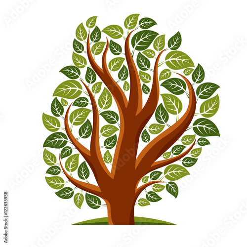 Art vector illustration of tree with green leaves, spring season