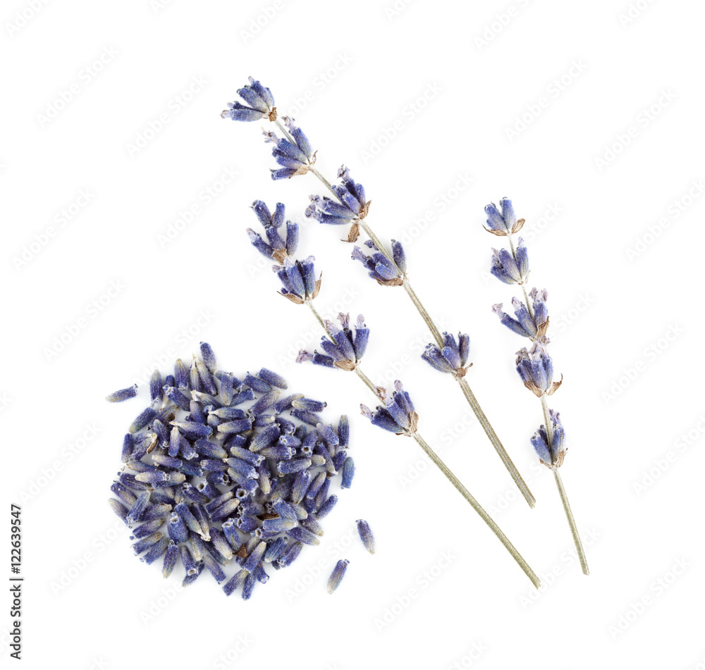 Naklejka premium Dry lavender isolated on white background.
