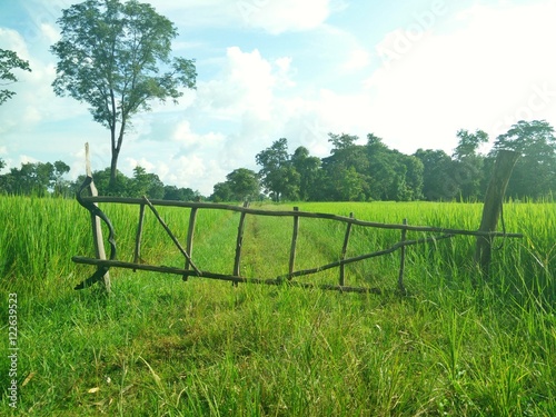 old wooden fence on a green meadow