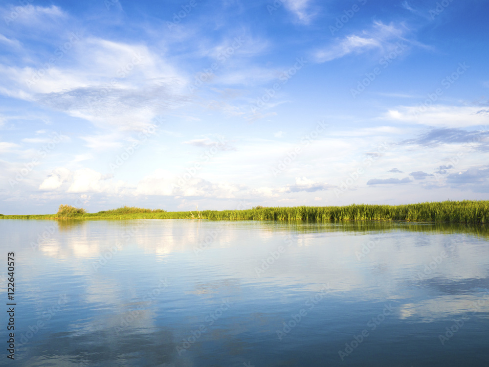 River with reed reflected in the water, Danube Delta 
