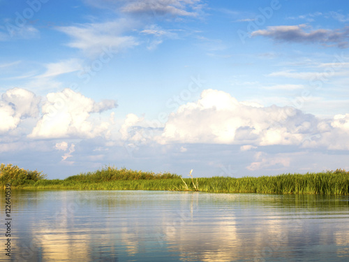 River with reed reflected in the water, Danube Delta    © 2207918