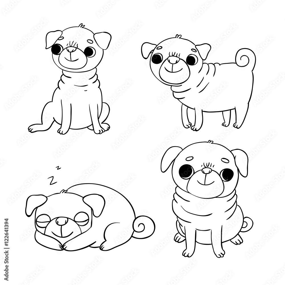 Obraz premium Cute Pugs. Dogs.