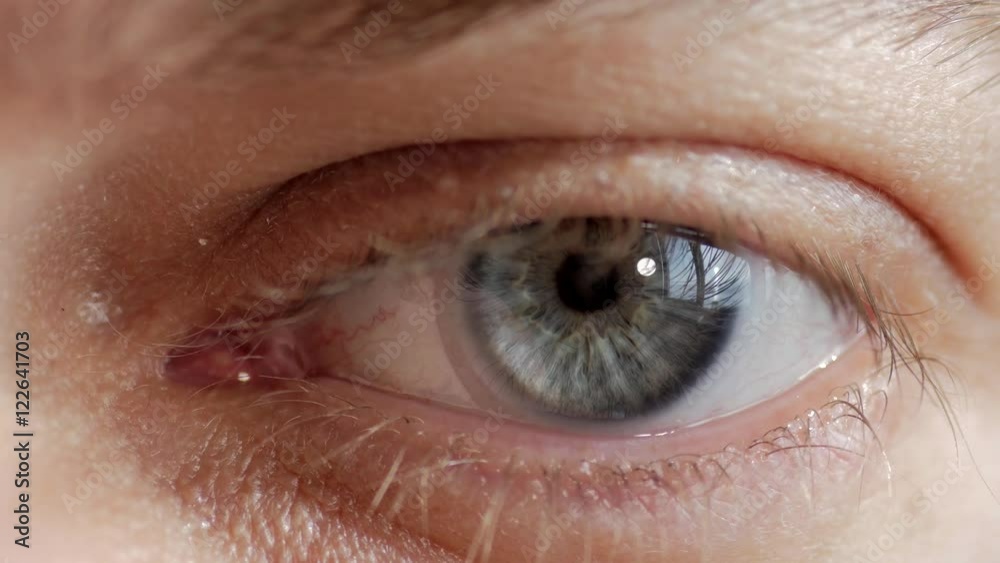 Closeup of blue male eye with contact lens looking at camera. Selective focus. Toned.
Closeup of blue male eye with contact lens looking at camera. Selective focus. Toned.