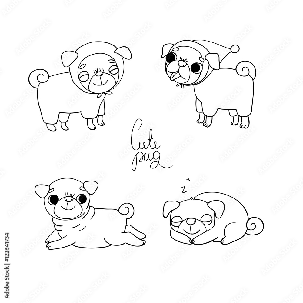 Obraz premium Cute Pugs. Pet clothes.