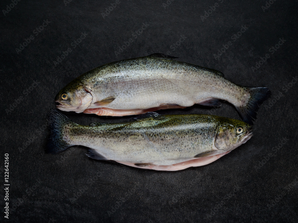Two Raw Trout Fishes on Dark Background Two Raw Trout Fishes on Dark Background