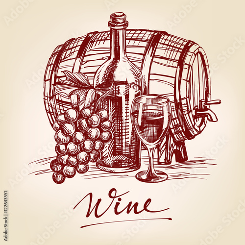 collection wine hand drawn vector llustration sketch