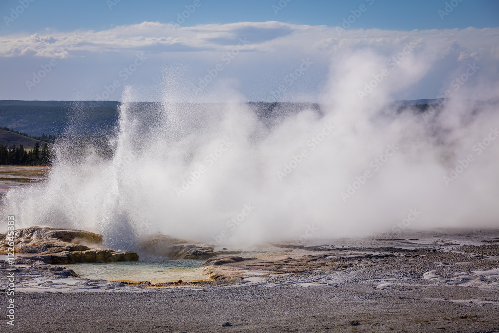 Erupting geyser with steam. Fountain Paint Pots. Yellowstone National Park, Wyoming