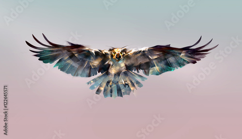 Bild auf Leinwand drawing elegant falcon front