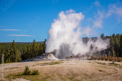 Erupting geyser with steam. Amazing landscape of the park. Upper Geyser Basin, Yellowstone National Park, Wyoming