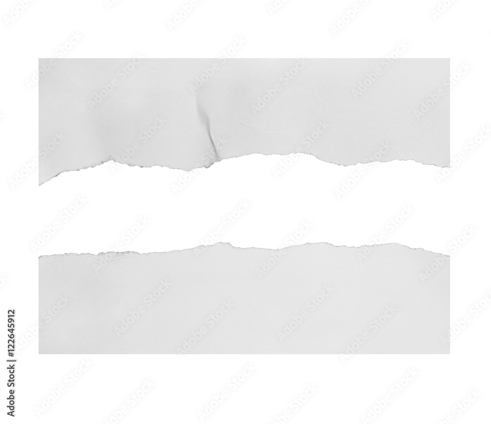 custom made wallpaper toronto digitalripped paper