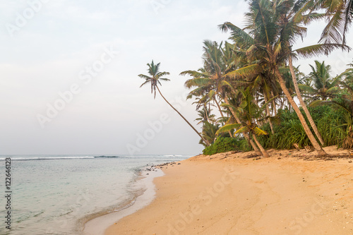 Fototapeta Naklejka Na Ścianę i Meble -  Beautiful tropical beach in Sri Lanka