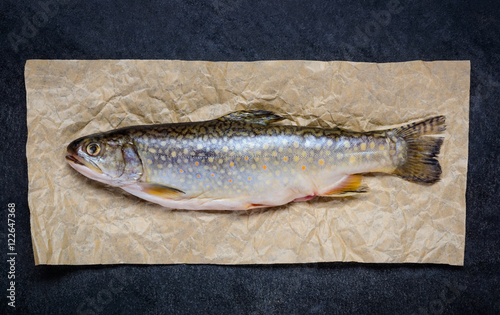 Raw Trout Fish photo