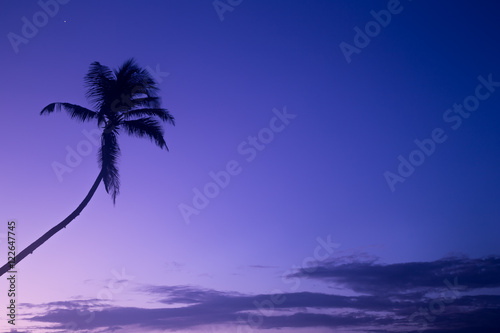 Fototapeta Naklejka Na Ścianę i Meble -  Beautiful palm trees silhouettes at evening on a tropical beach