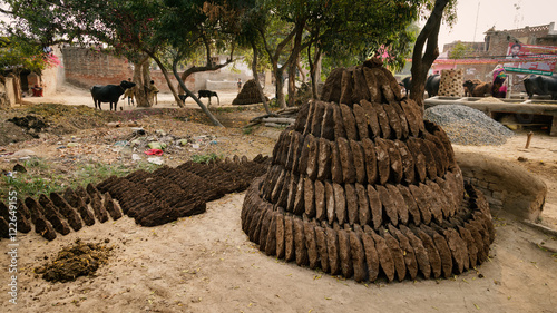 Pile of organic cow or buffalo dung cakes made by hand in Indian village.