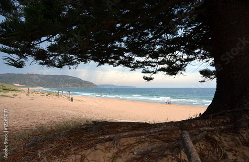 Photography Palm Beach one of Sydney's iconic northern beaches