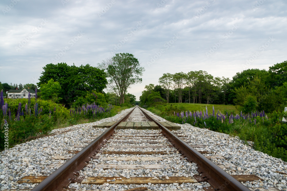 Fototapeta premium Vanishing point