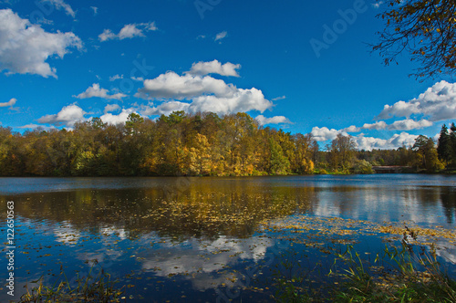 Fototapeta Naklejka Na Ścianę i Meble -  Colorful autumn landscape.Nature background. Marfino, Moscow Region, Russia.