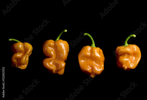 Orange Ghost Chillis on a Black Background