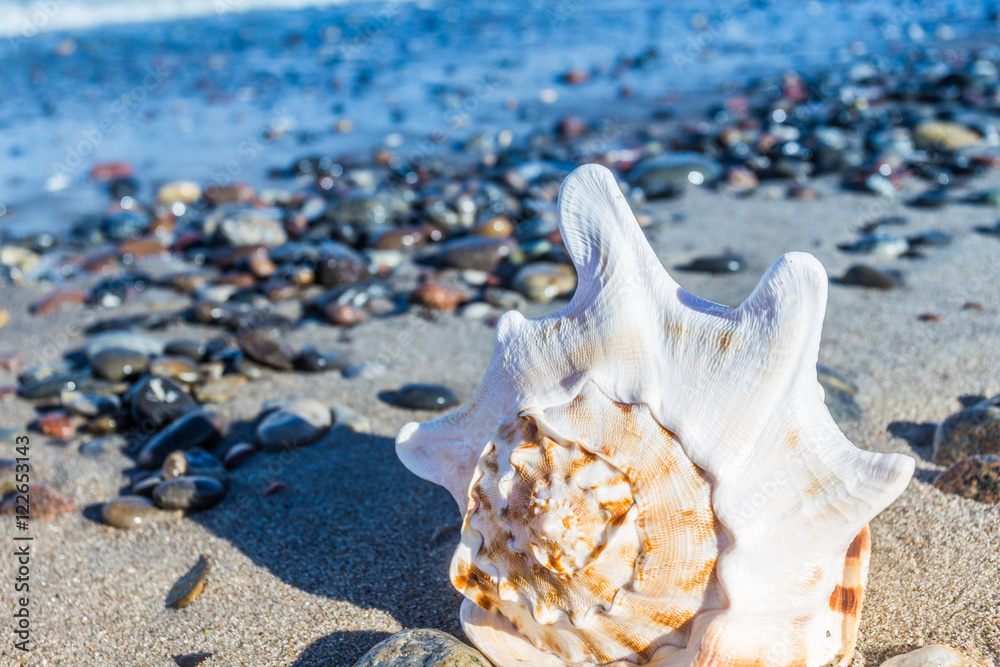 ostsee ostsee