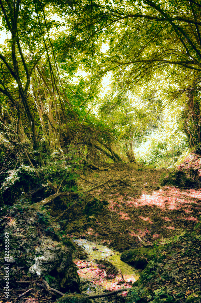 Obraz premium Orange Carpet