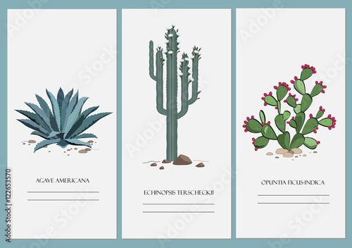 Business cards set with cactus, agave, and prickly pear plant.