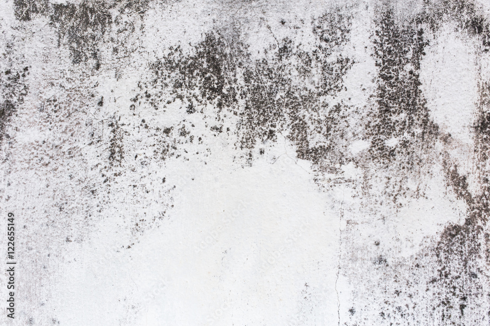 concrete or cement wall texture background concrete or cement wall texture background