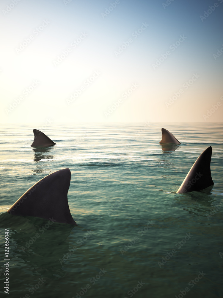 Naklejka premium Płetwy rekina krążą nad wodą oceanu. Renderowanie 3d
