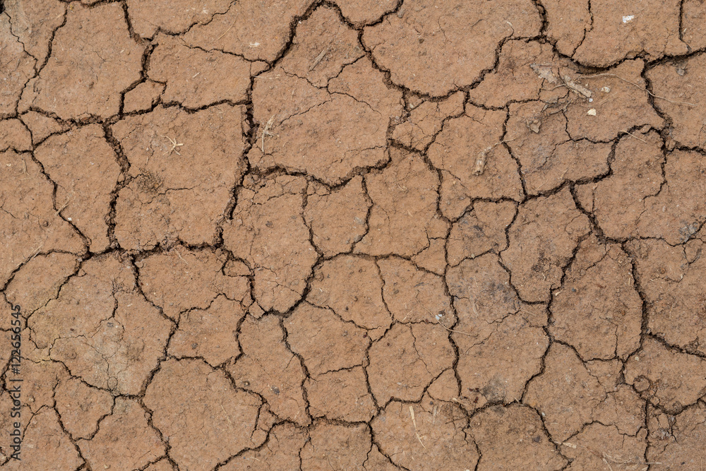 Cracked soil texture background Cracked soil texture background