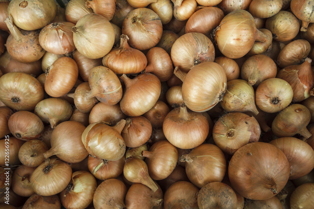 Fresh onions. Onions background. Ripe onions. Onions in market Fresh onions. Onions background. Ripe onions. Onions in market