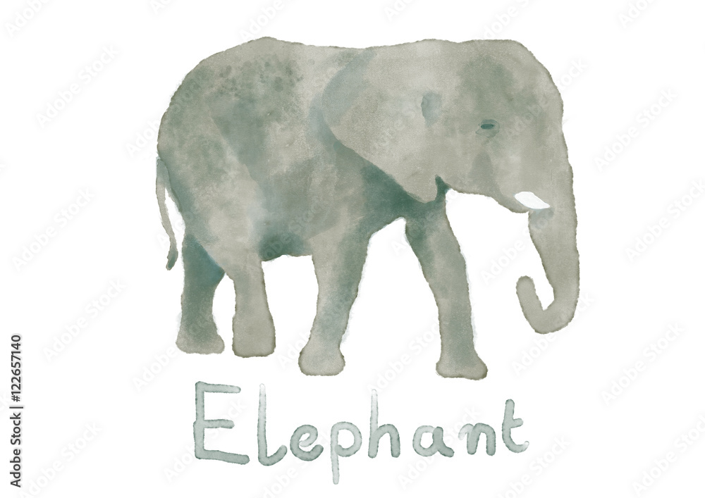 Fototapeta premium Watercolor elephant hand painted illustration from animals collection