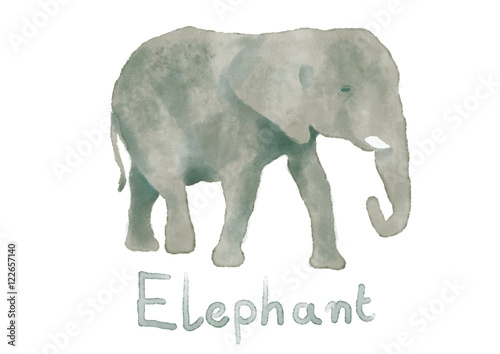 Watercolor elephant hand painted illustration from animals collection