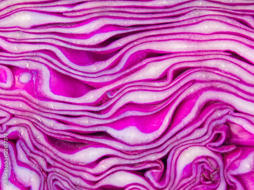 close up texture of purple cabbage. 