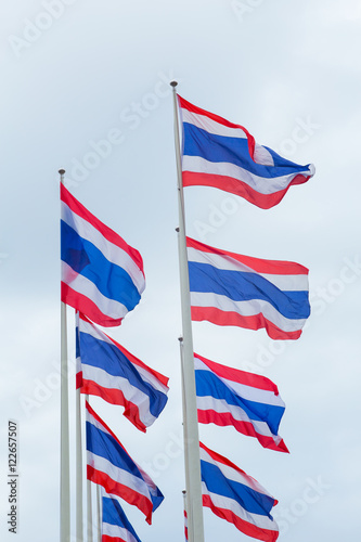 group of national flag of Thailand