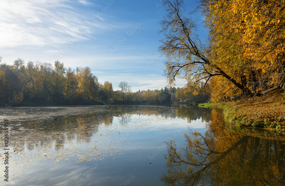 Obraz premium Autumn landscape