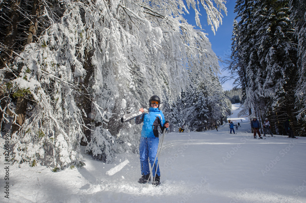 Happy skier at the ski resort on a sunny day standing under the trees covered in snow, snow is falling down on her. Girl is holding skis on her shoulder. Bukovel, Ukraine