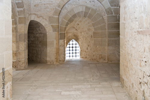 corridor of an ancient castle