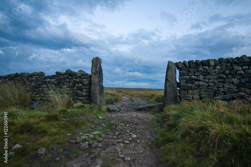 Gate and Wall